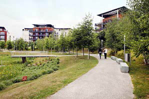 amphi
